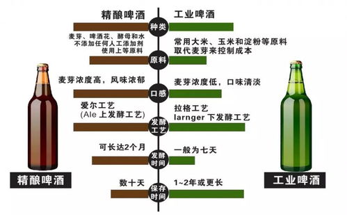 喝了这么多年啤酒,现在才知道什么叫真正的 啤酒