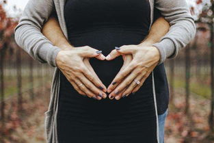 原创怀孕两个月胎儿有多大孕早期营养补充重点