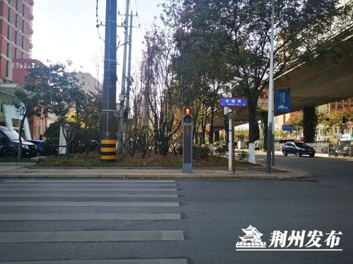 荆州街头换了一批新路牌,你留意到了没