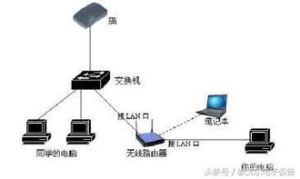 交换机 路由器如何连接,交换机组网图解