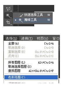 p网图用什么软件,Adobe Phooshop p网图用什么软件,Adobe Phooshop 词条