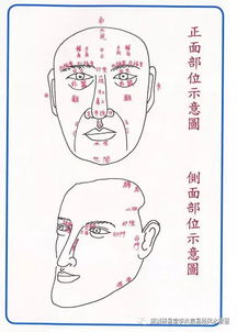 面相十二宫气色论 