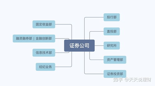 证券公司的工作具体怎样