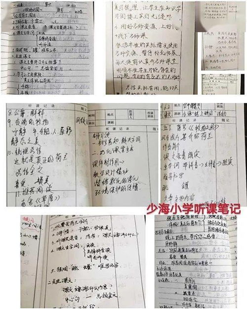 教育教学心得体会范文（中小学双减下如何打造高效课堂培训心得？）