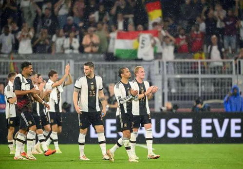2024德国欧洲杯预选赛,德国队今天的比赛结果29日