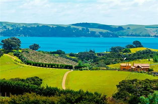 在最好的季节,去最美的新西兰