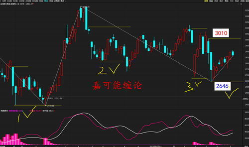 创业板股票,创业板股票：潜力无限的投资机遇