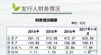 一直没有想清为什么说债务融资是杠杠，这杠杠具体体现在哪里，请通俗一点简答?