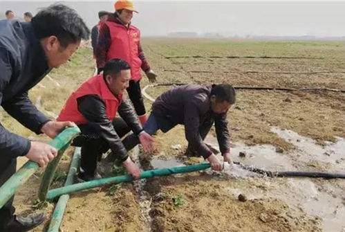 正月打雷又下雪,老农 正月打雷土谷堆,不是好兆头,有道理吗