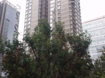 通用时代国际公寓,永安东里甲3号 北京通用时代国际公寓二手房 租房 房价 