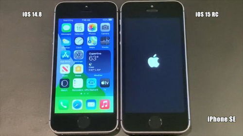 6款旧iPhone测试iOS14.8与iOS15性能差距 到底值得升级吗