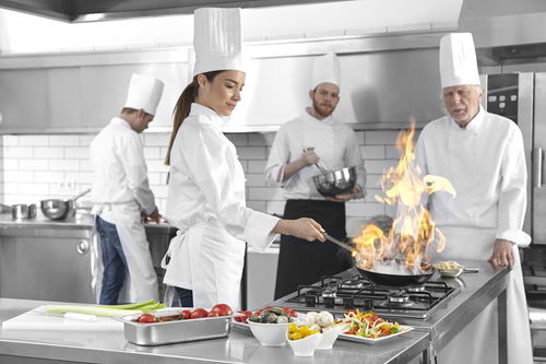 烹饪工艺与营养专业学什么,烹饪工艺与营养是什么专业