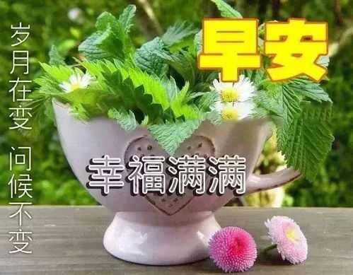 早安语录:适合清晨发朋友圈问候早上好的50个句子(朋友圈早晨优美的早安句子)