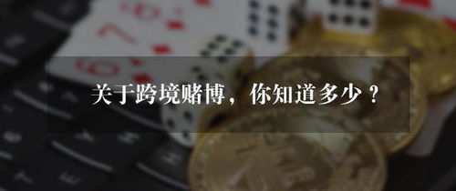 网赌支付套路,网络支付模式:揭秘背后阴谋 网赌支付套路,网络支付模式:揭秘背后阴谋 应用