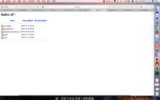 macbook pro 怎样使用"vps