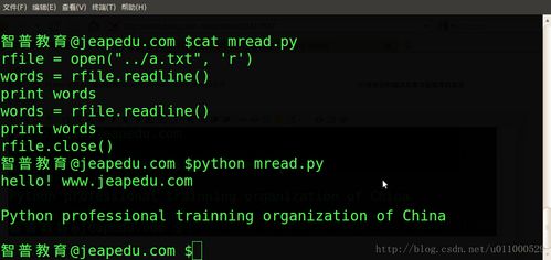 新手python入门教程,c++入门教程