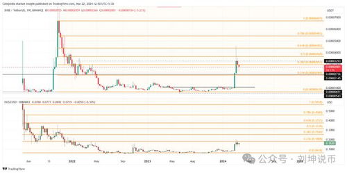 shib币最新消息2024年,Shib coin 2024年最新消息:预测和趋势 shib币最新消息2024年,Shib coin 2024年最新消息:预测和趋势 生态