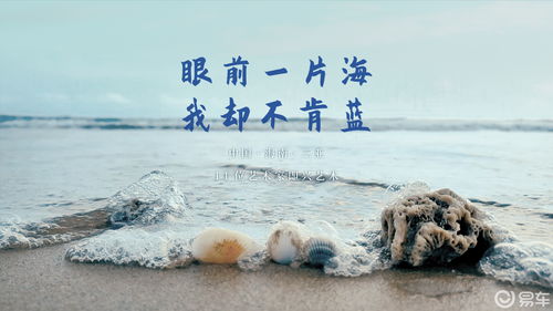 眼前一片海,我却不肯蓝