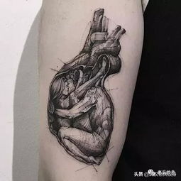 纹身素材 心脏 