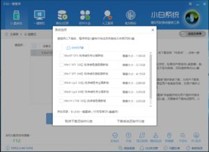 电脑win10系统安装选什么版本