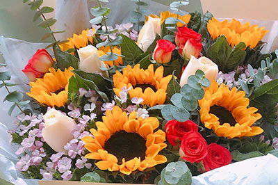 儿子送母亲什么花,“我的生日，妈妈的苦日！”我想给妈妈送一些花，送什么好呢？
