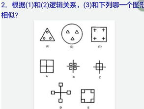 小学生4年级 智商逻辑测试题 全做对智力高超 