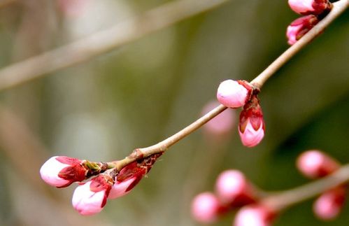 7月19日开始,4属相富贵来袭,横财惹不起,好日子来临