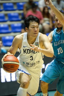 2017男篮亚洲杯韩国,上一届男篮亚洲杯的冠军是？