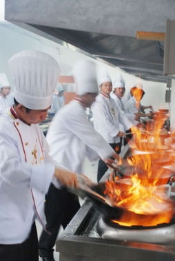 有多少厨师学校,有哪个大学是有厨师专业的