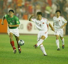 2004年亚洲杯半决赛,2004年亚洲杯中国对战伊朗