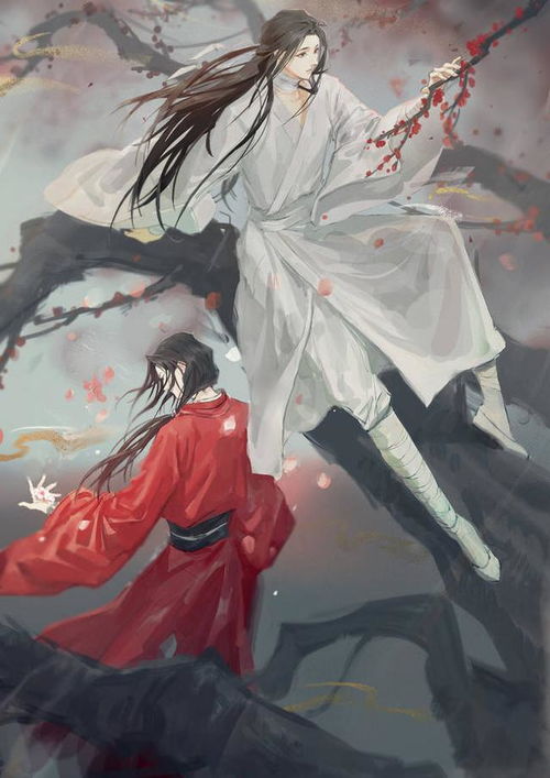 天官赐福 传闻要动画化,能否复制 魔道祖师 的成功