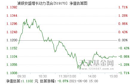 浦银安盛增长动力混合是什么问题价值成长