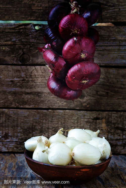 ONION洋葱币,onionman洋葱长什么样