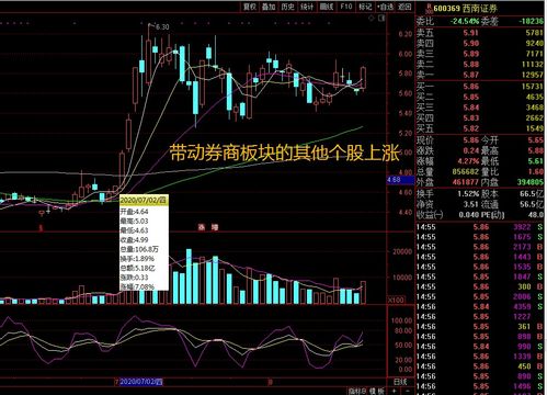 为什么会产生板块联动效应？一只股票上涨会带动一个板块的上涨