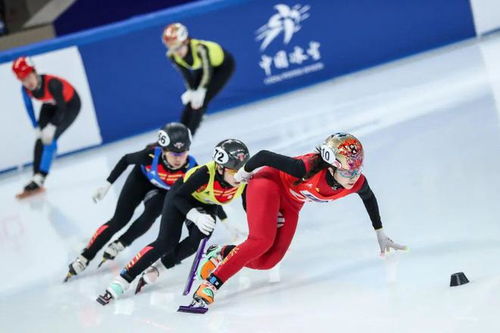 2022-2023赛季短道速滑,冬奥会有什么运动项目？