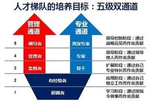 人才梯队建设的系统模型 