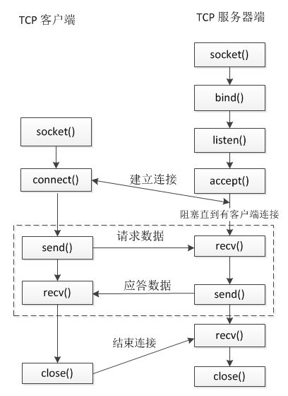 P网络用词是什么意思, P网络是什么? P网络用词是什么意思, P网络是什么? NTF