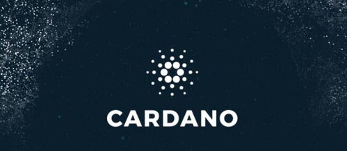 cardano怎么读,介绍Cardao