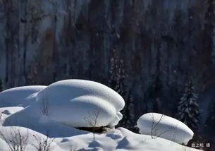 一起1.18自驾越野季,喀纳斯禾木冰雪奇缘纪 