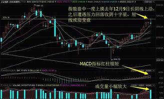 今天三江购物为什么涨停啊？后市会如何？