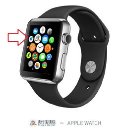 Apple Watch支付宝怎么用 苹果手表支付宝钱包使用方法 