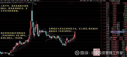 创业板etf指数基金有哪些