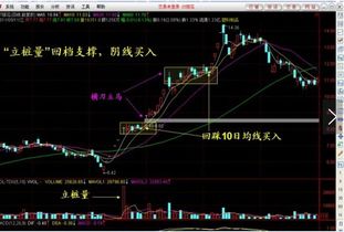 股价为个位数的股票有哪几种