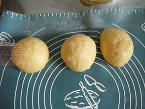 南瓜面包的做法,南瓜面包怎么做好吃,南瓜面包的家常做法 壹笑嫣然 