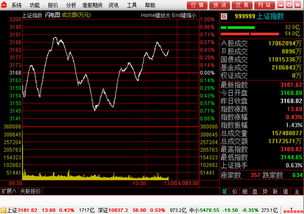 齐鲁证券的网上交易软件打开后什么也查不到了，资金、股票、股东资料全都没有了！