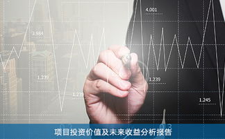 投资综合环境分析包括哪些内容