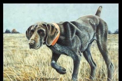 世界名犬 蓝斑猎犬