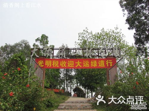 大顶岭山林公园停车场免费吗深圳大顶岭公园要门票吗 