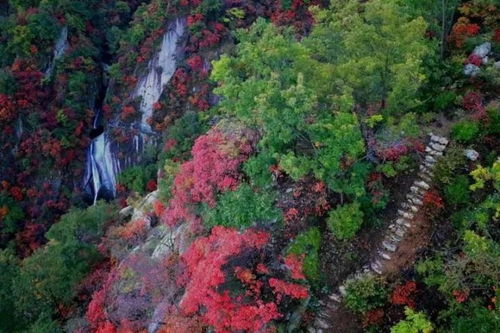 中秋出游,老君山景区游玩攻略看这里