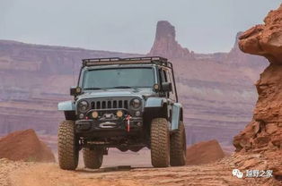 全球最大的Jeep大会 是否有你最爱的一款呢